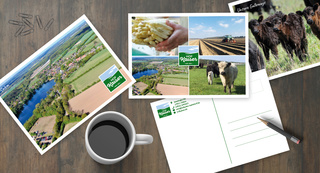 Hof Kaiser Postkarten Hof Kaiser Postkarten