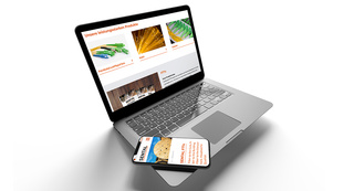 SENTAL Export Responsive Website SENTAL Export Responsive Website