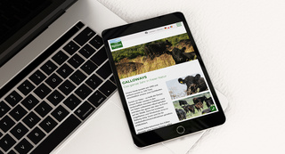 Hof Kaiser Website Tabletansicht Hof Kaiser Website Tabletansicht