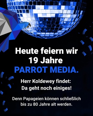 19 Jahre sind kein klassisches Jubiläum. Für uns trotzdem ein guter Anlass, einmal kurzvom aktuellen Projekt...